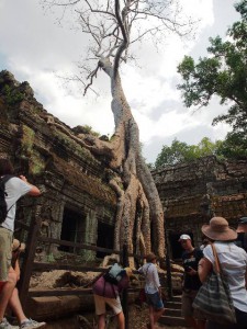 Angkor13